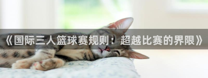 《国际三人篮球赛规则：超越比赛的界限》