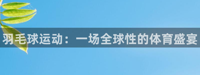羽毛球运动：一场全球性的体育盛宴