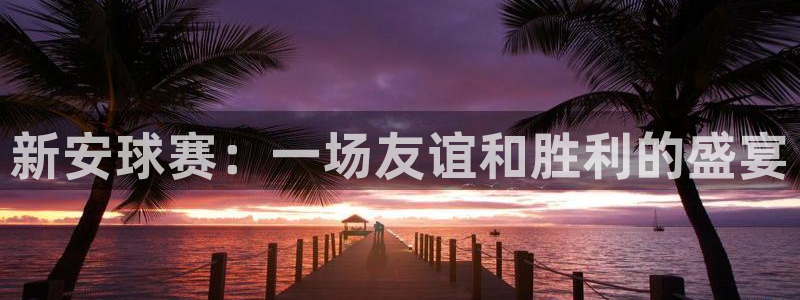 新安球赛：一场友谊和胜利的盛宴
