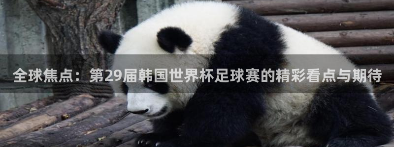 米兰体育流水怎么看：全球焦点：第29届韩国世界杯足球赛的精彩