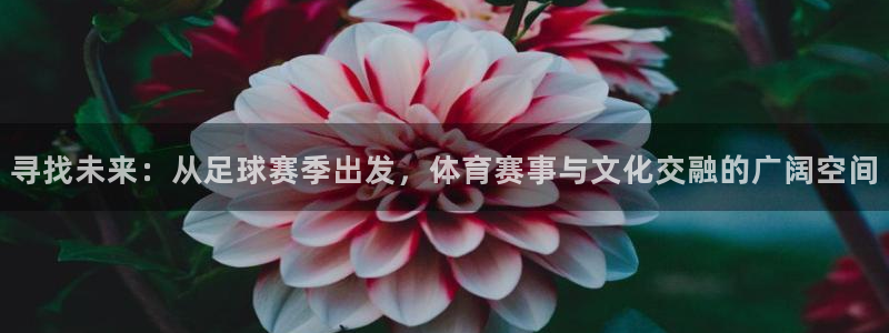 米兰体育报意大利首发阵容：寻找未来：从足球赛季出发，体育赛事