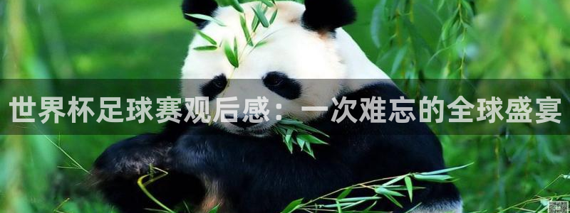 米兰体育极速提款待出款需要多久：世界杯足球赛观后感：一次难忘