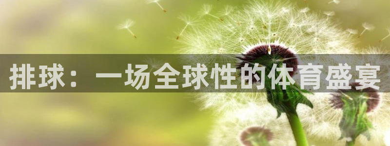 米兰体育网页版登录：排球：一场全球性的体育盛宴