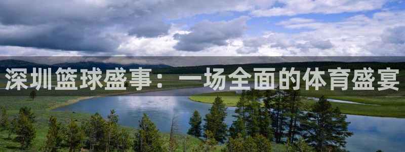 米兰体育馆：深圳篮球盛事：一场全面的体育盛宴