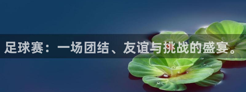 米兰体育平台：足球赛：一场团结、友谊与挑战的盛宴。
